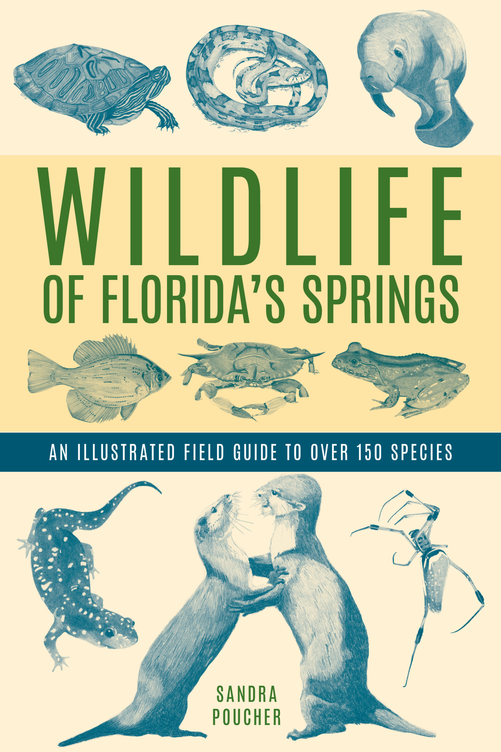 Wildlife of Florida's Springs: An Illustrated Guide to Over 150